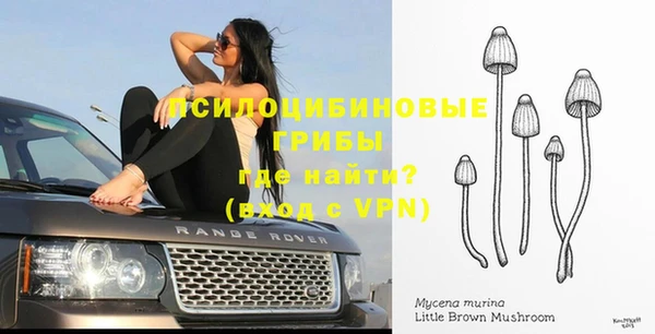 дурь Надым