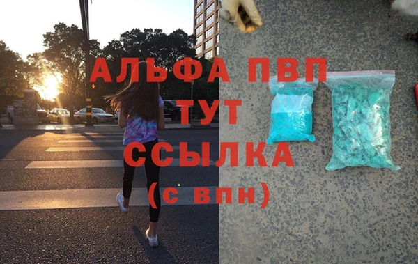 прущие грибы Навашино