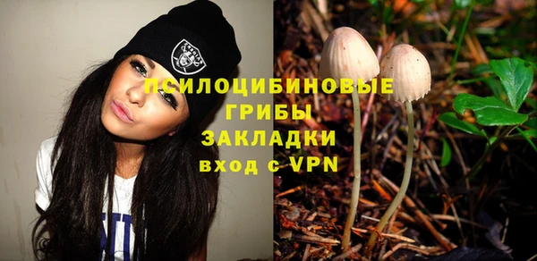 прущие грибы Навашино