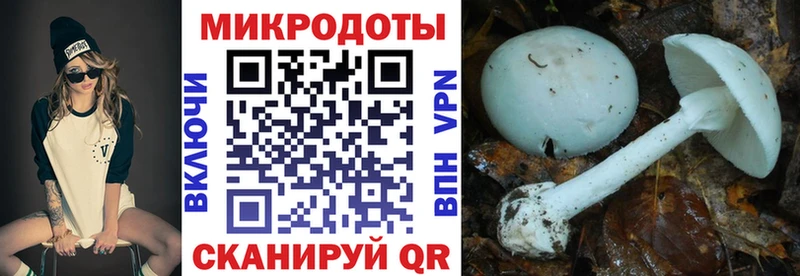 Галлюциногенные грибы MAGIC MUSHROOMS  даркнет сайт  Сургут 