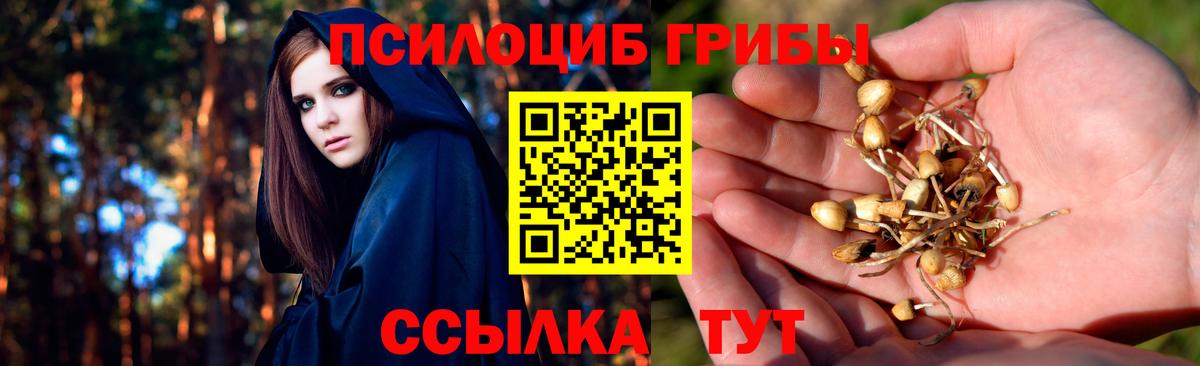 Галлюциногенные грибы MAGIC MUSHROOMS Сургут